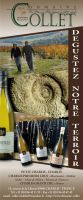Affiche pour rollup pour le Domaine Collet de Chablis